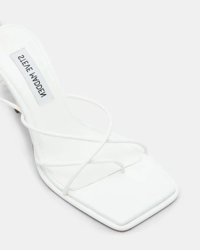 Jolene Bianco Jolene Bianco