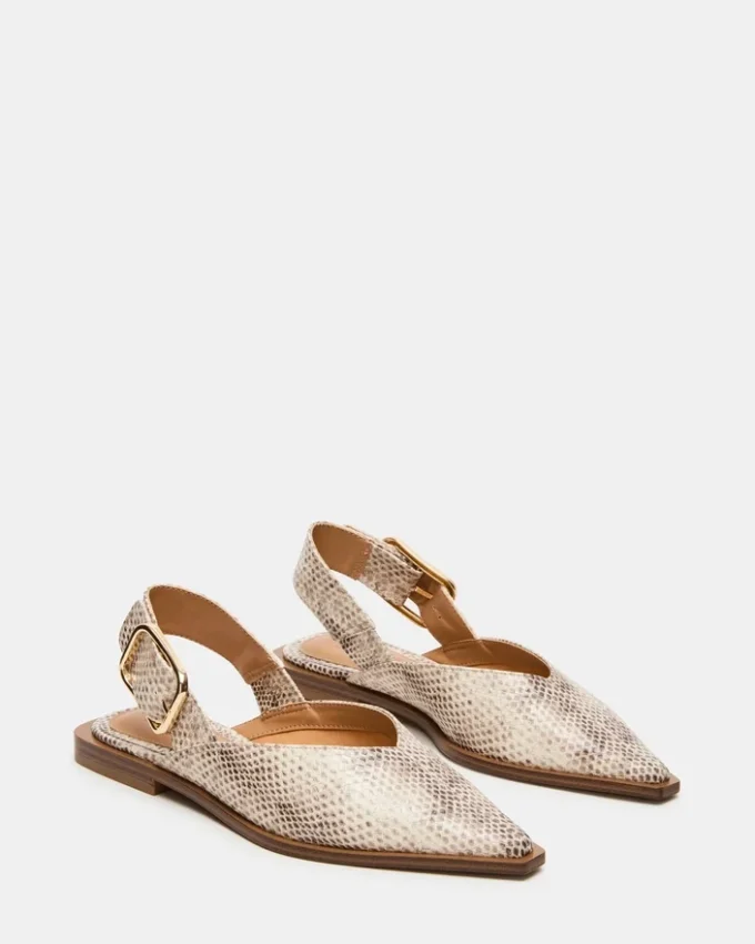 Shay Snake Shay Snake