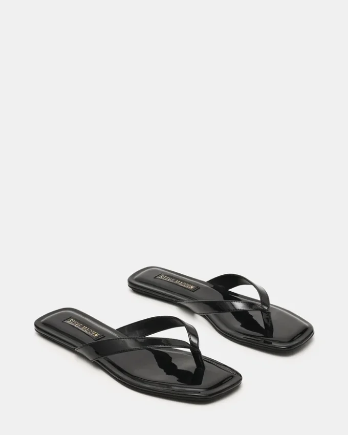 Trella in vernice nera Trella in vernice nera