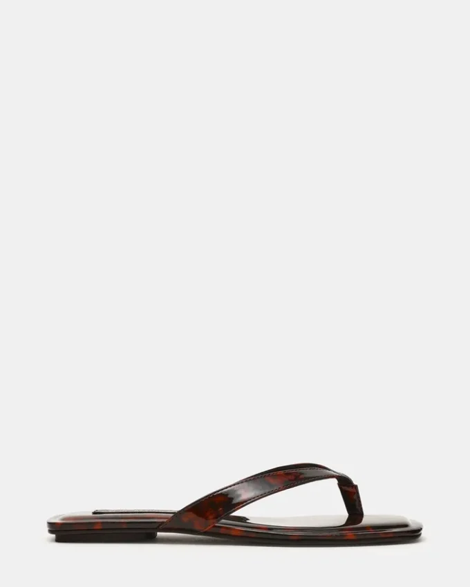 Trella Tortoise Trella Tortoise