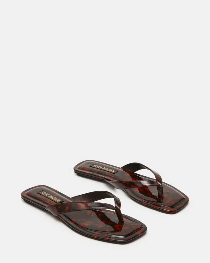 Trella Tortoise Trella Tortoise