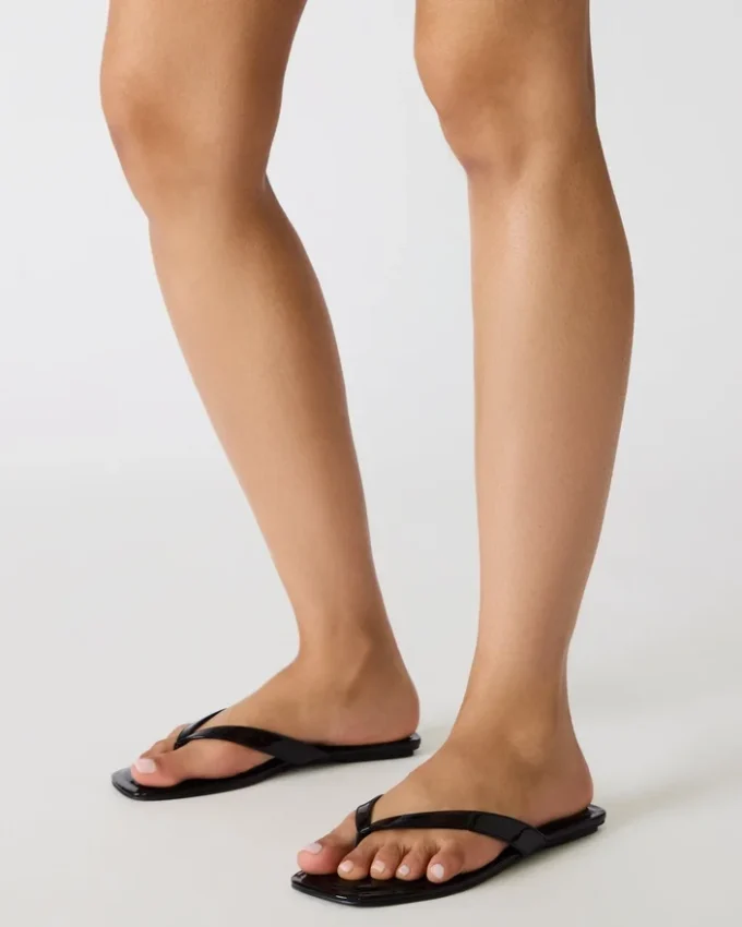 Trella Tortoise Trella Tortoise